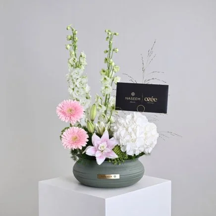 فازة اوزيه سبا سبيشال