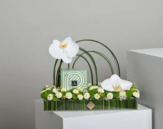 Patchi Orchid