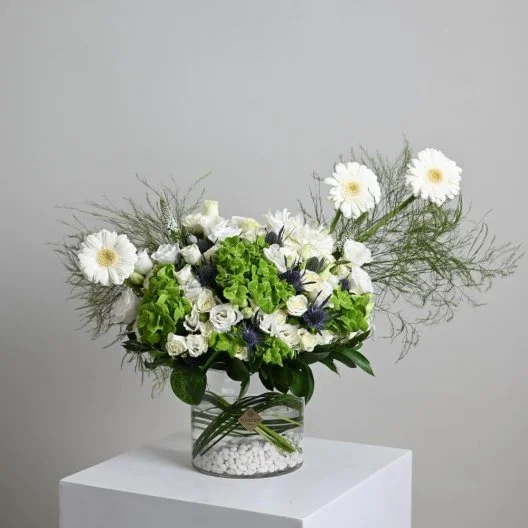 White gerbera flower vase