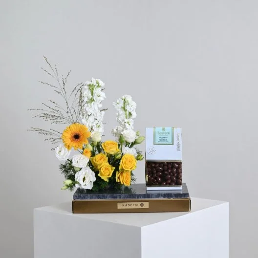 قاعدة تشوكلت دراجيه بستاني المشرقة