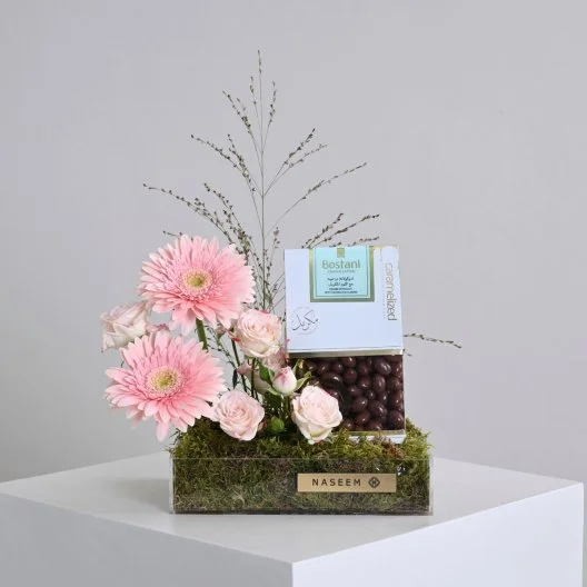 قاعدة تشوكلت دراجيه بستاني الوردية