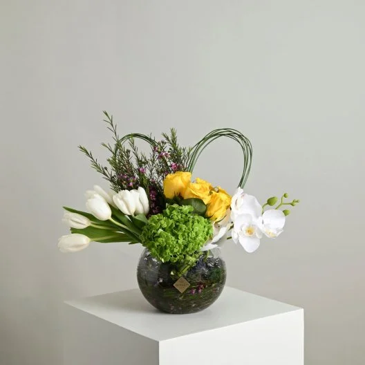 فازة بيلسان