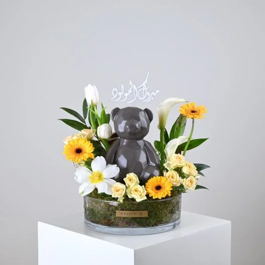 My Little Teddy Bear | Baby Boy Gift