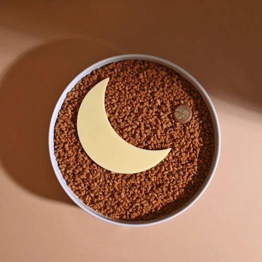 Caramel Pudding | Aani & Dani