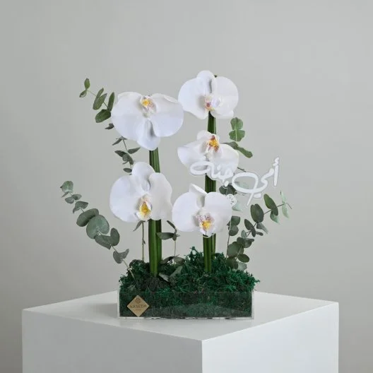 Orchid Bouquet l My mother is heaven