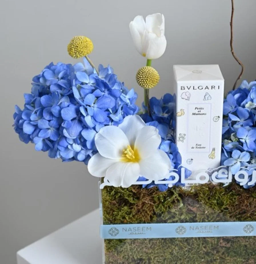 Congratulations to you, Blue Hydrangea With Bvlgari children's perfume