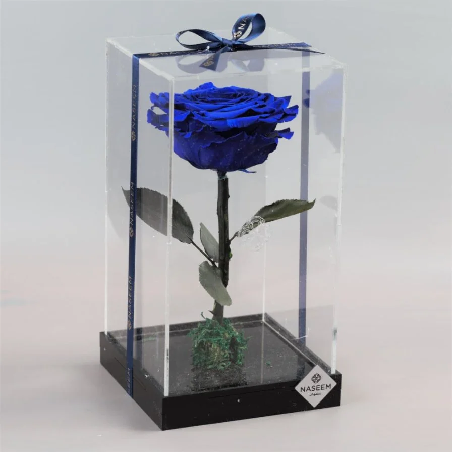 Natural Long Life Rose, Large Blue