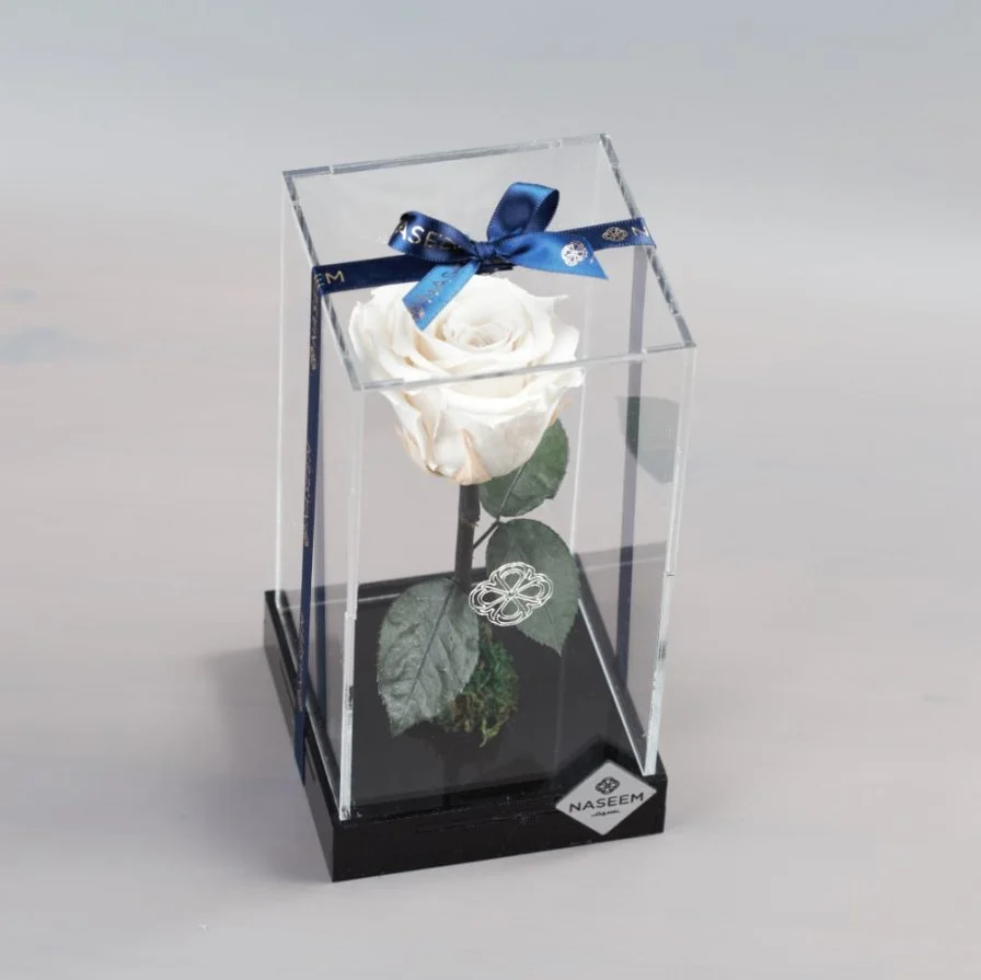 Natural Long Life Rose, Small White