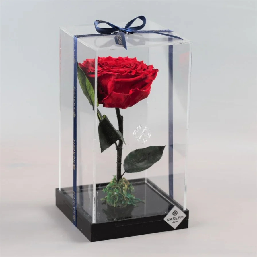 Natural Long Life Rose, Large Red