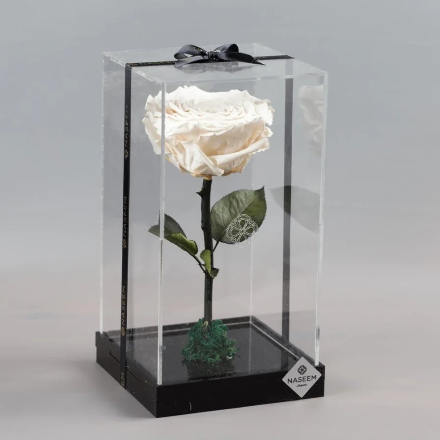 Natural Long Life Rose, Large White