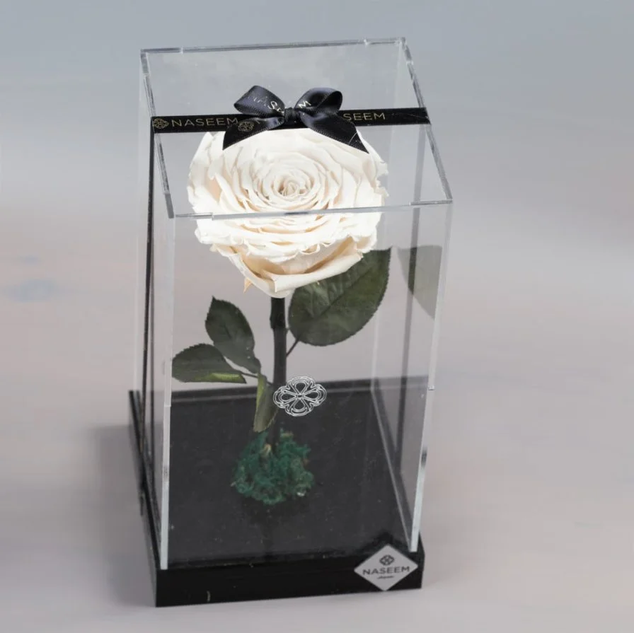 Natural Long Life Rose, Large White