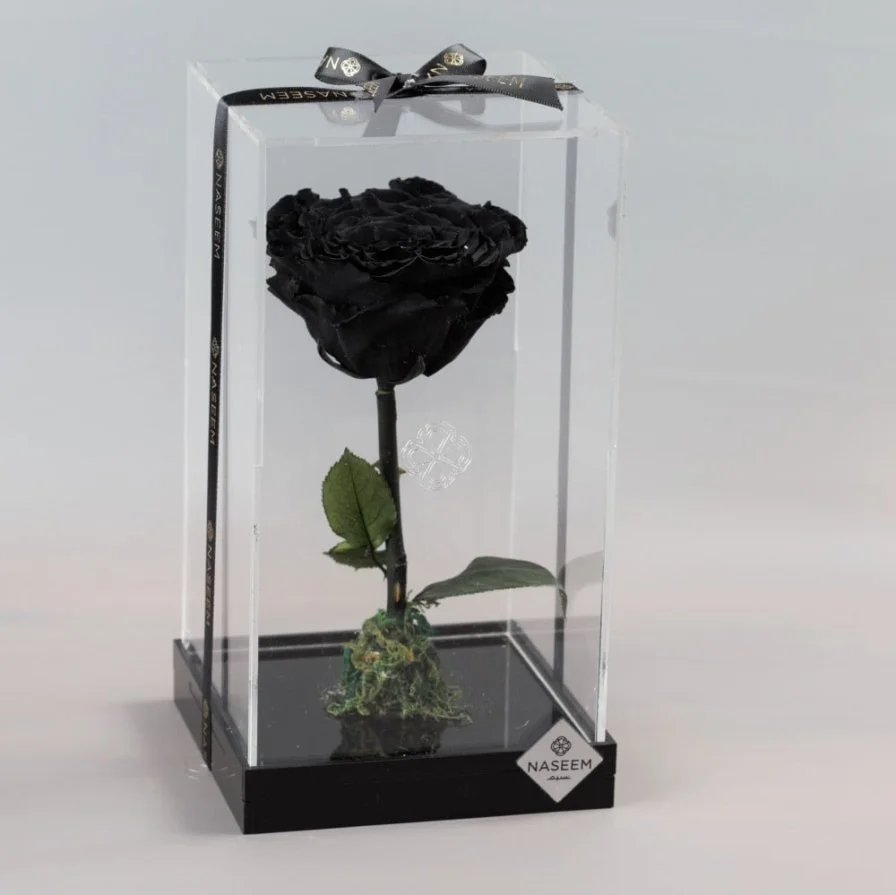 Natural Long Life Rose, Large Black