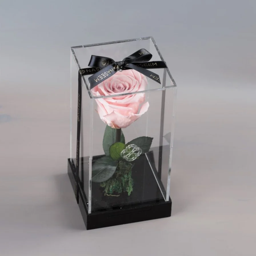 Natural Long Life Rose, Small Pink