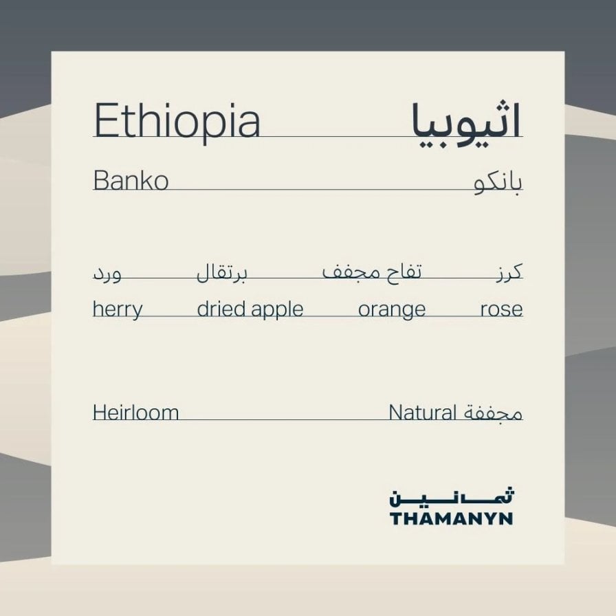 Thamanyn Ethiopia Banko Drip Coffee Bags