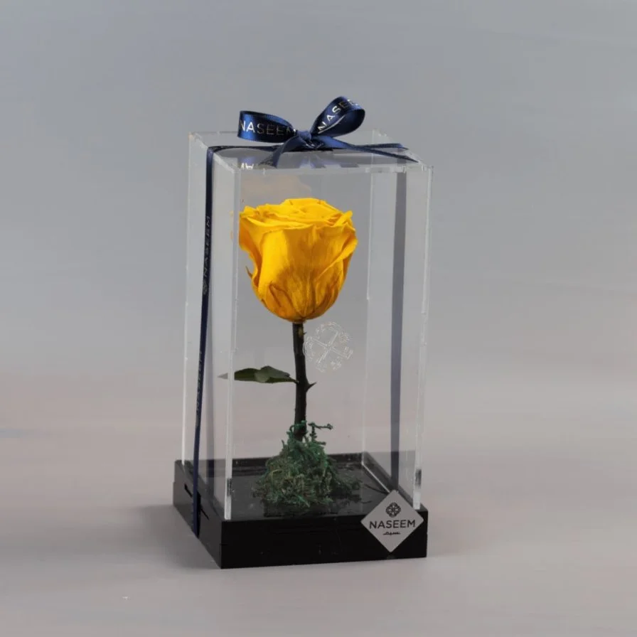 Natural Long Life Rose, Small Yellow