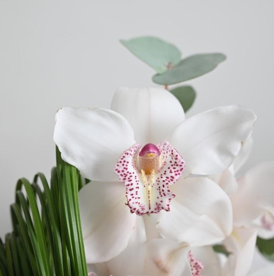 Cymbidium and Stilgrass vase