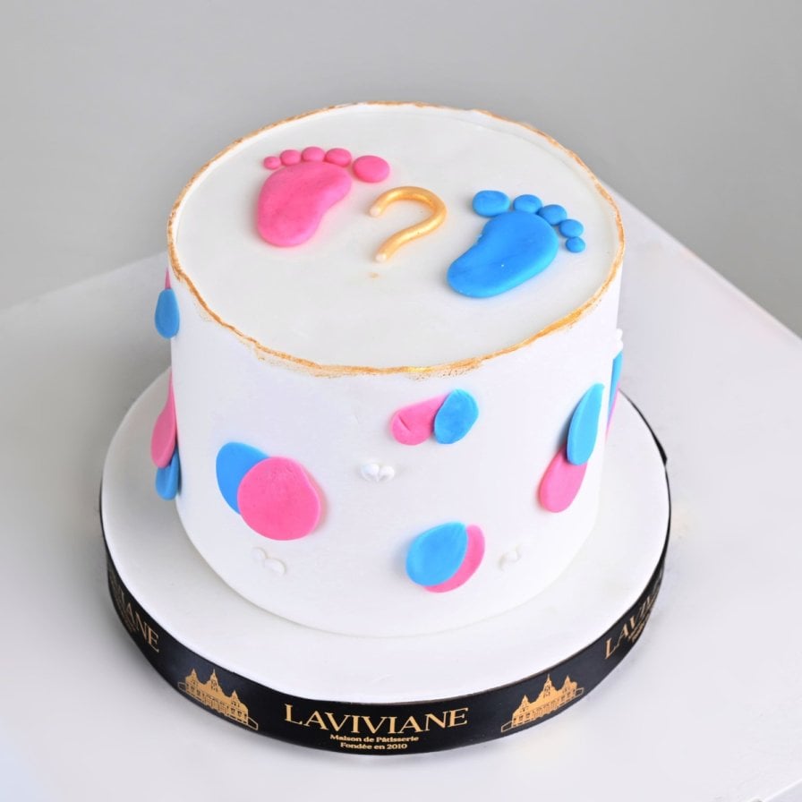 مجموعة تحديد جنس المولود Boy or Girl | فازة بينك هايدرنجا مع كيك