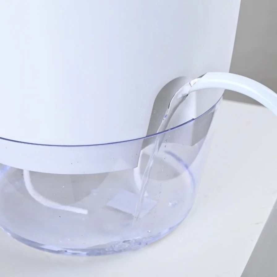 White Peace Lily in White Self-Watering Pot