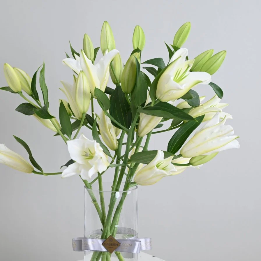 اشتراك كازابلانكا