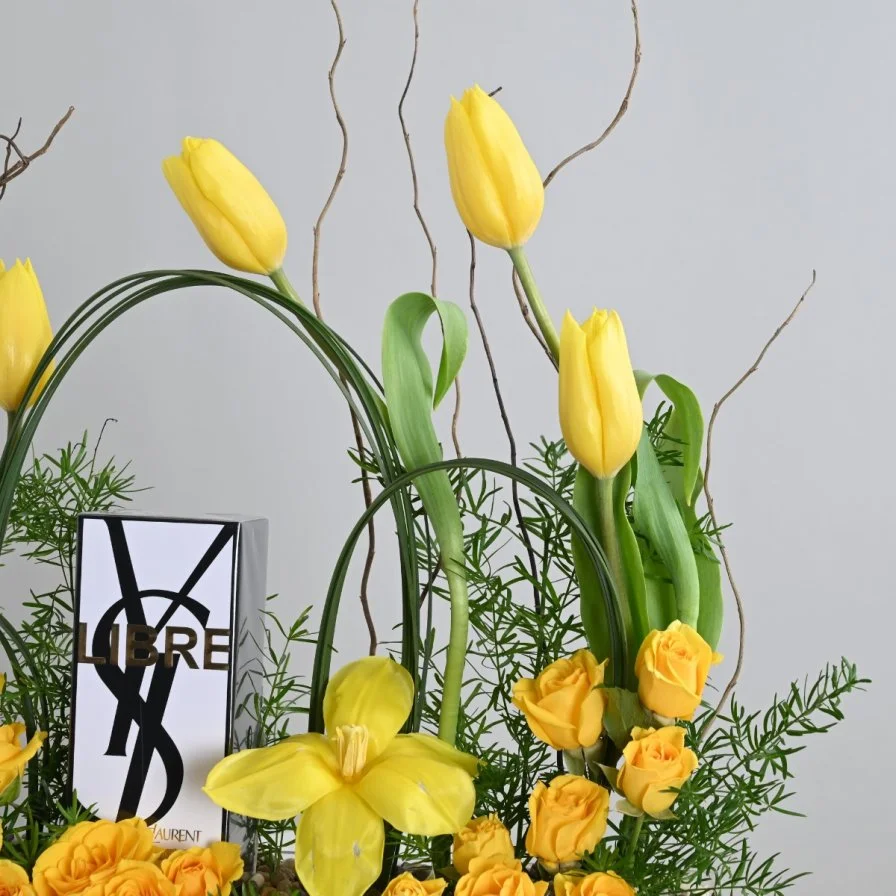 عطر ليبر من سان لوران مع زهور التوليب