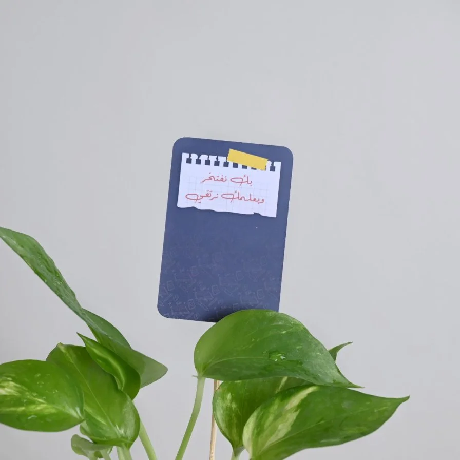 Pothos Plant for Teacher