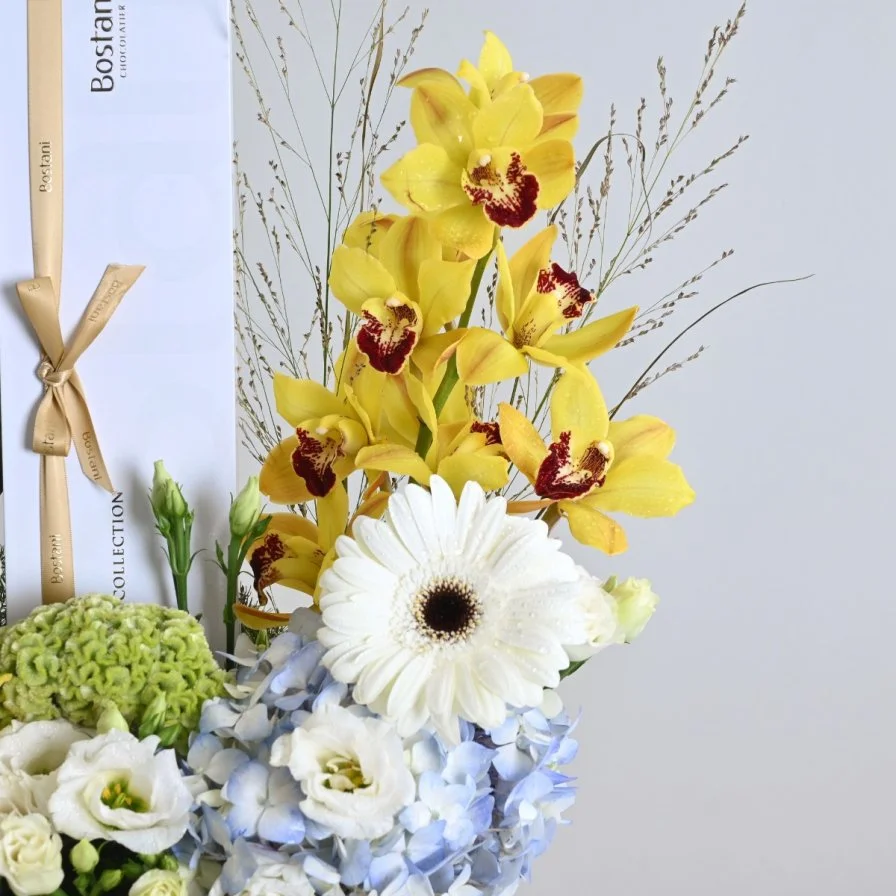 Lumière Vase with Bostani Chocolate