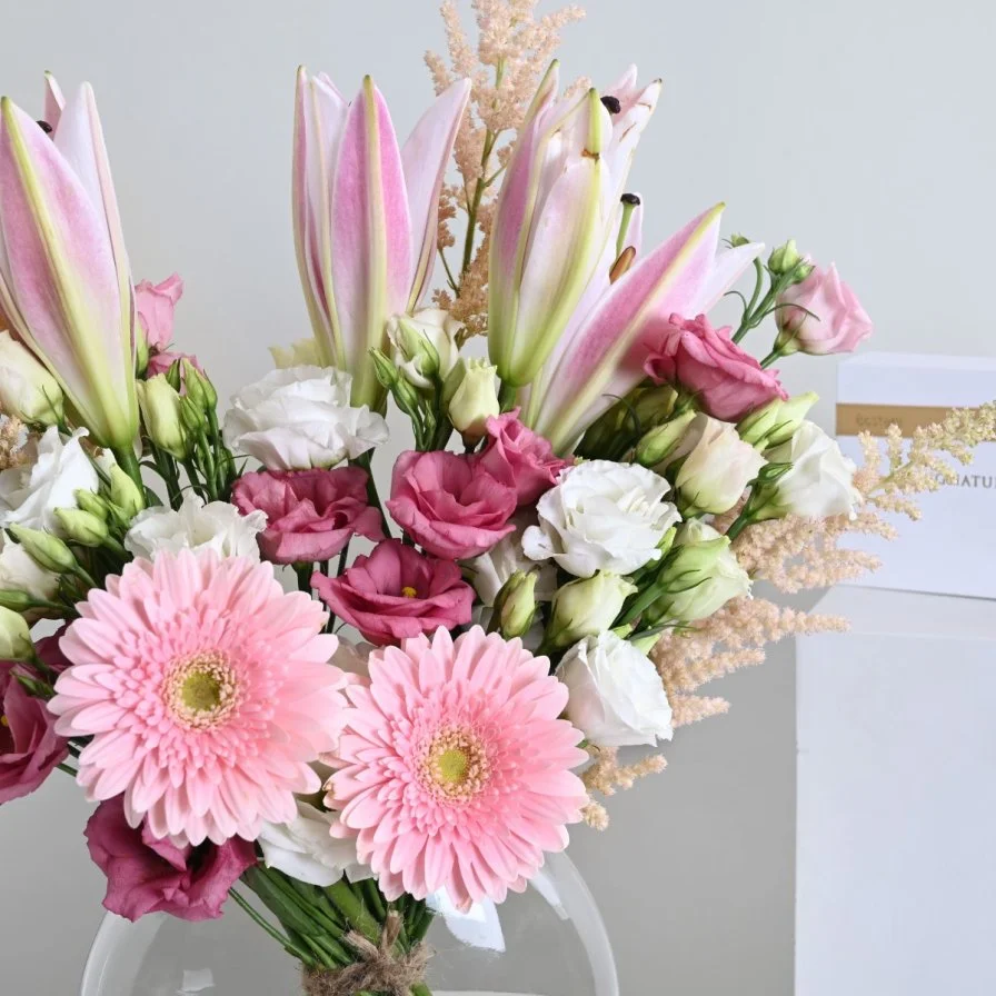 جربيرا روزين مع شوكولاتة بستاني