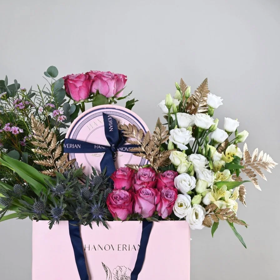 كيس شوكلت هانوفريان 3