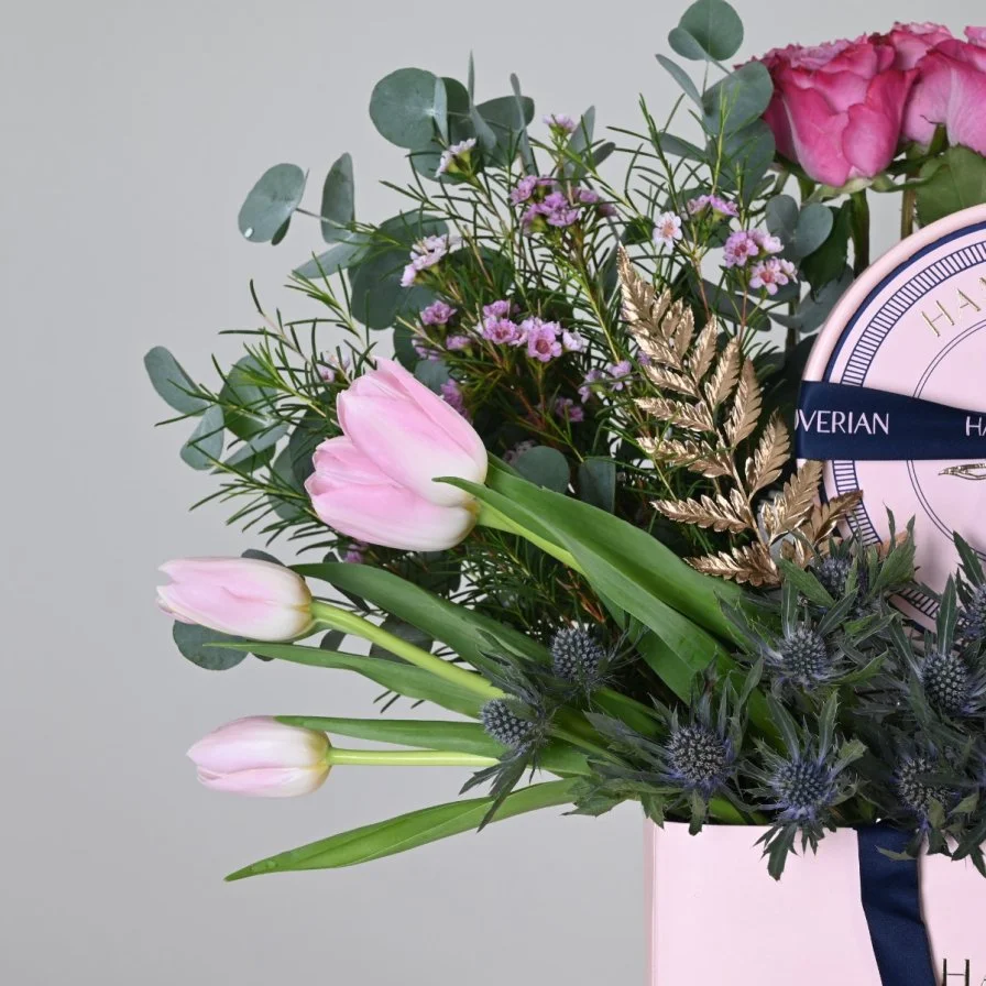 كيس شوكلت هانوفريان 3