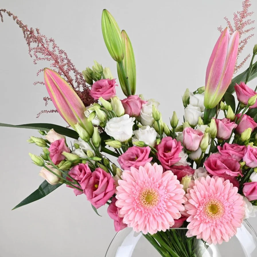 جربيرا روزين مع شوكولاتة بستاني