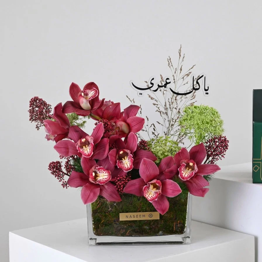 وصال الحب | يا كل عمري مع سبحة لُباب