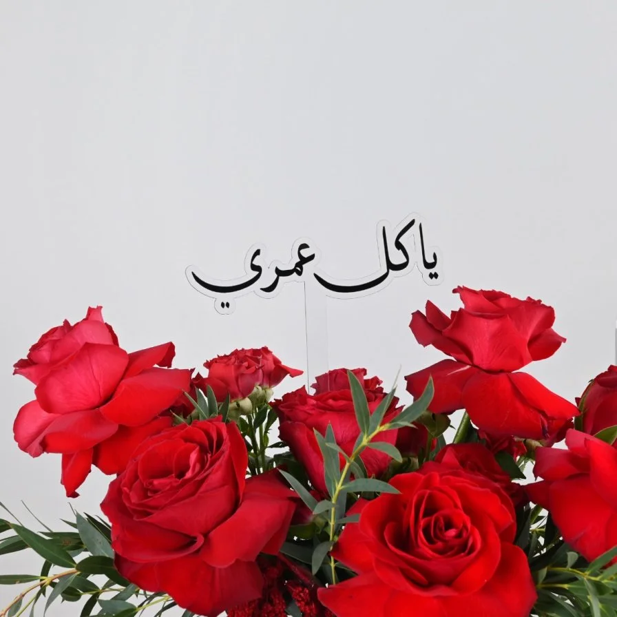 لقاء خاص | يا كل عمري