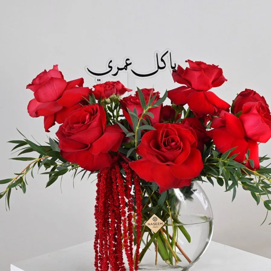 لقاء خاص | يا كل عمري