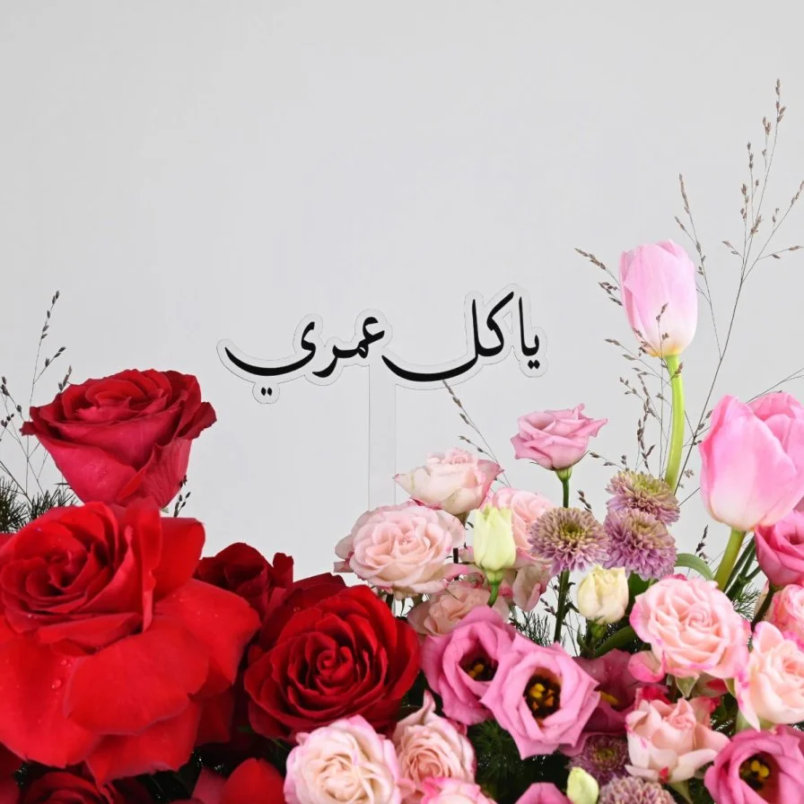 دفء المشاعر | يا كل عمري