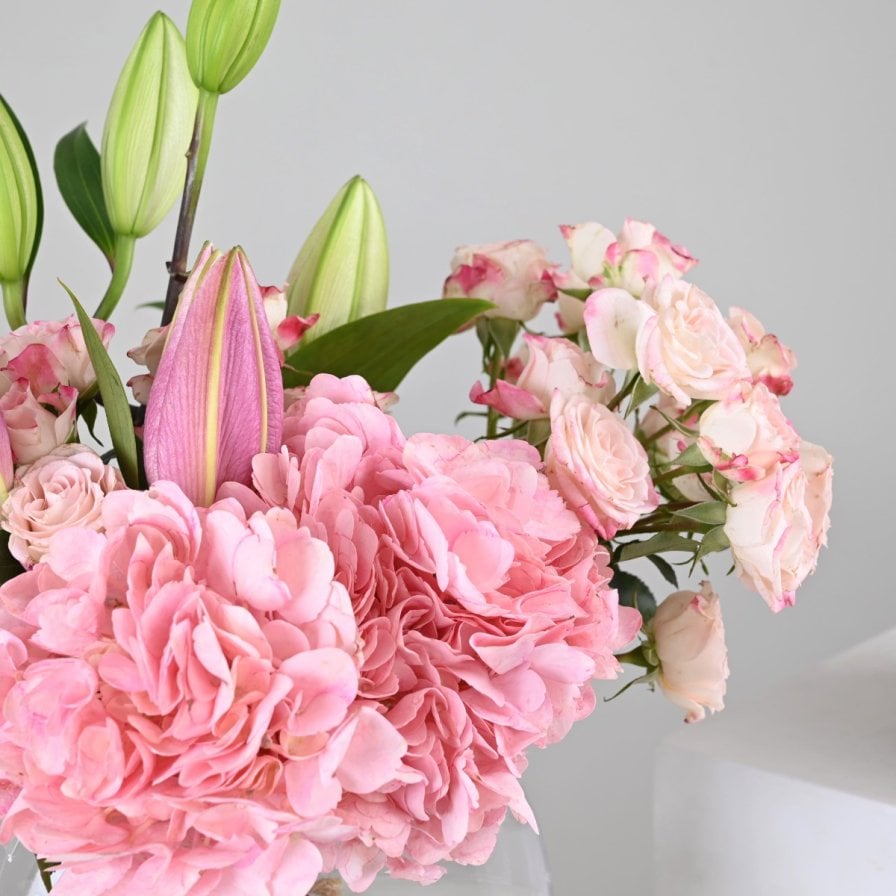 مجموعة تحديد جنس المولود Boy or Girl | فازة بينك هايدرنجا مع كيك