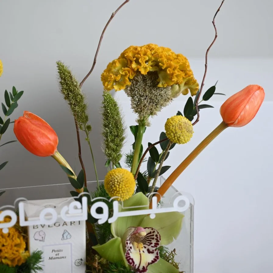 Congratulations to you, Orange Tulip With Bvlgari children's perfume