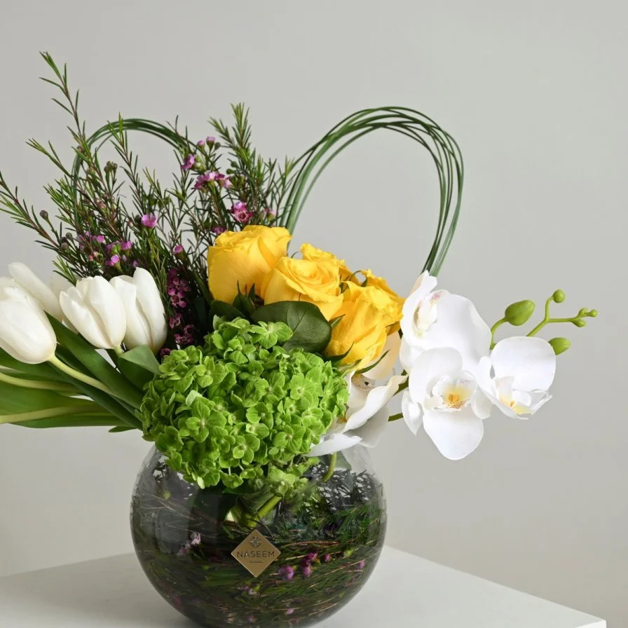 فازة بيلسان