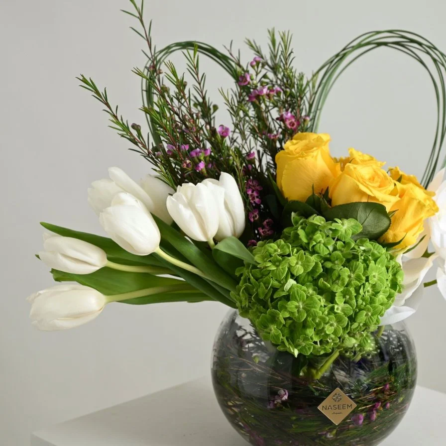 فازة بيلسان