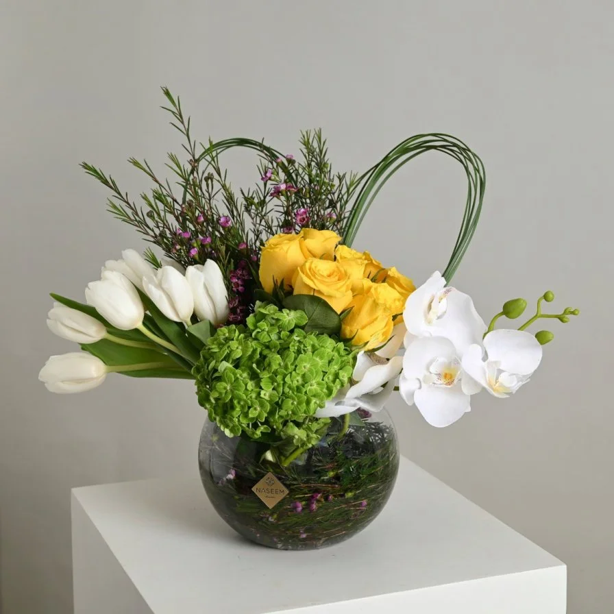 فازة بيلسان