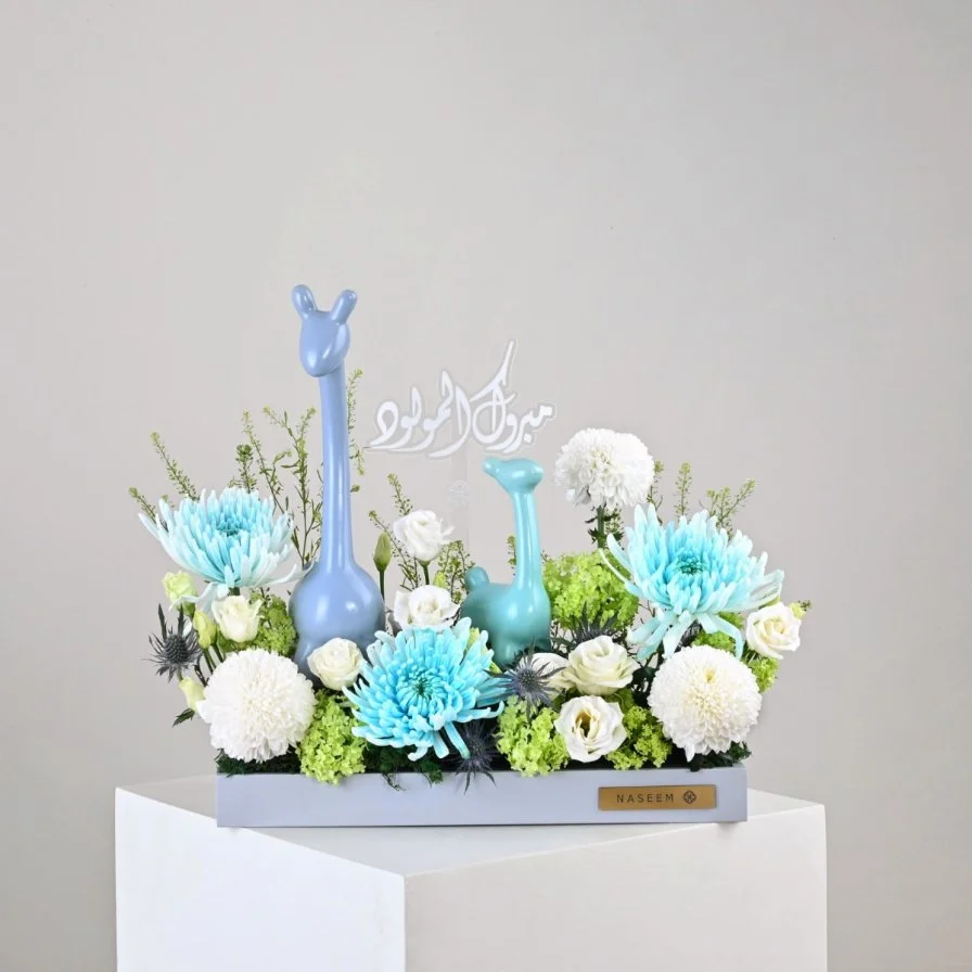 Blue Llama Bloom | Baby Boy Gift