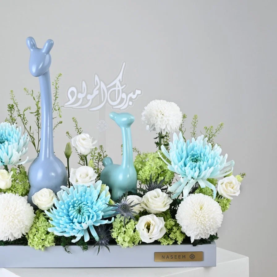 Blue Llama Bloom | Baby Boy Gift