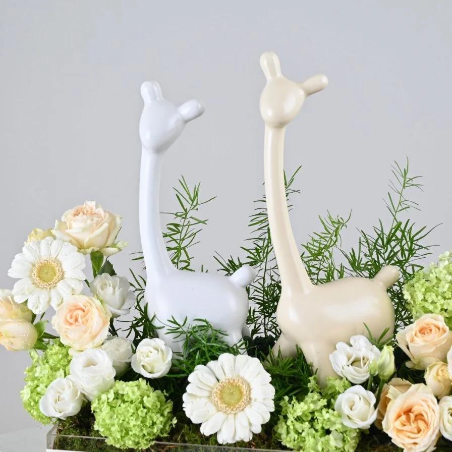 White Blossom & Llama