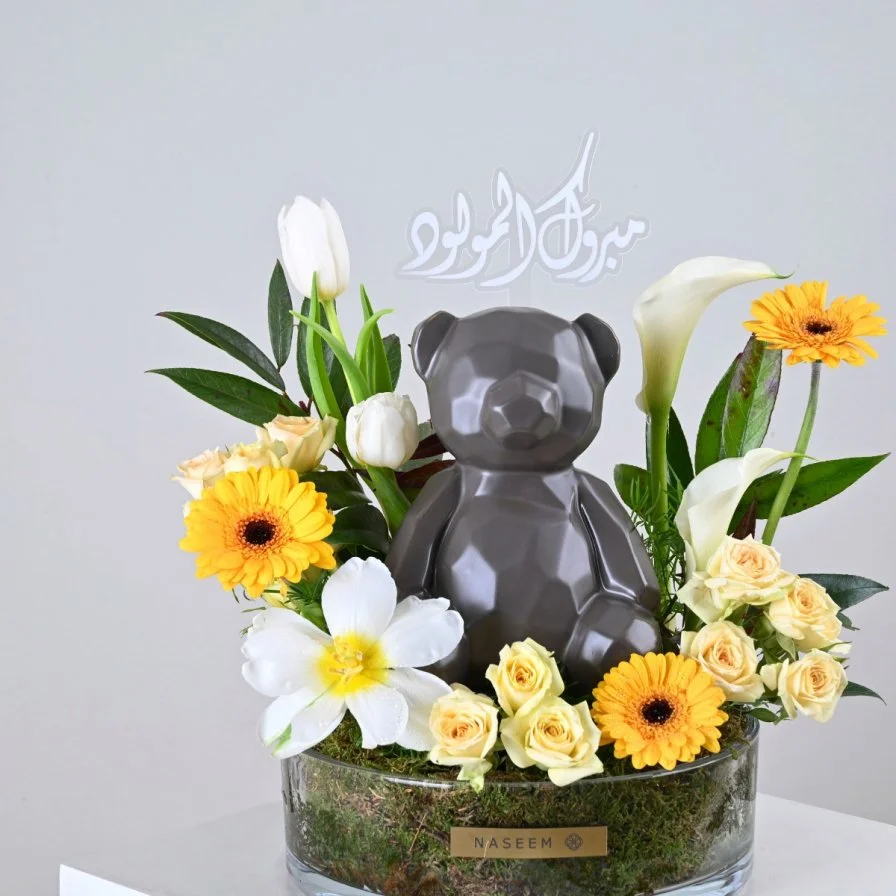 My Little Teddy Bear | Baby Boy Gift