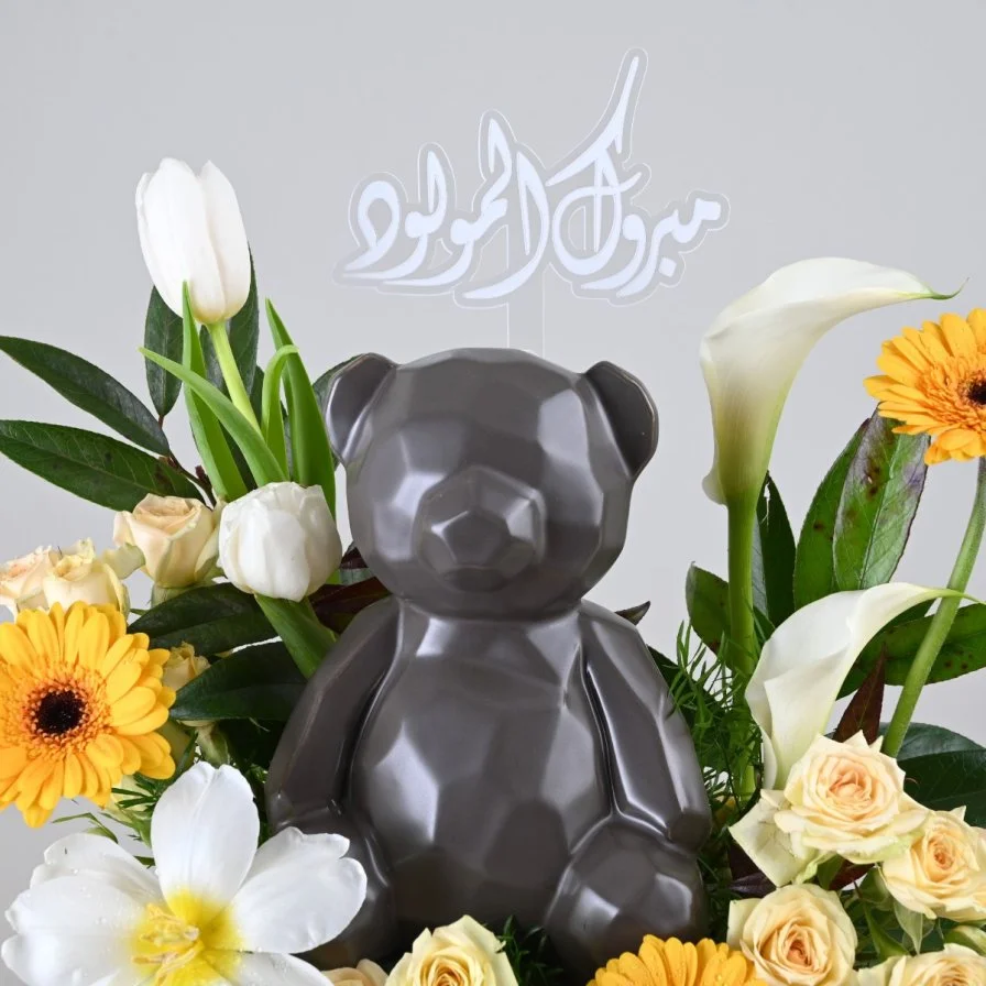 My Little Teddy Bear | Baby Boy Gift