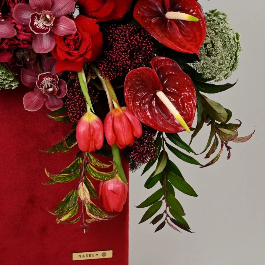 مخملية فبراير