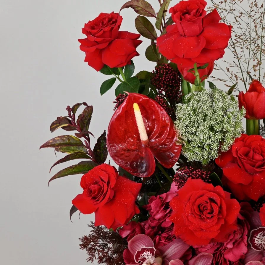 مخملية فبراير