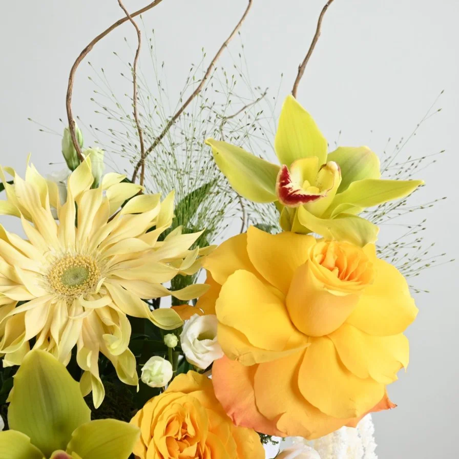 Graduation Bouquet | Gerabera and Cymbidium Flowers