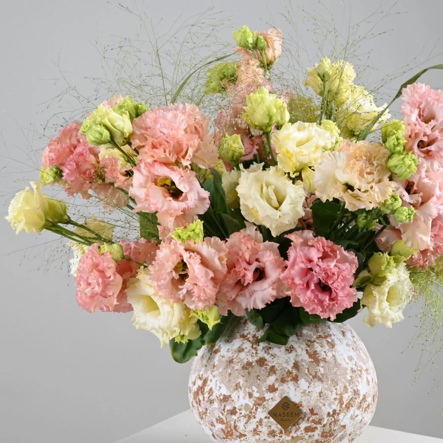 فازة تناغم الاستوما