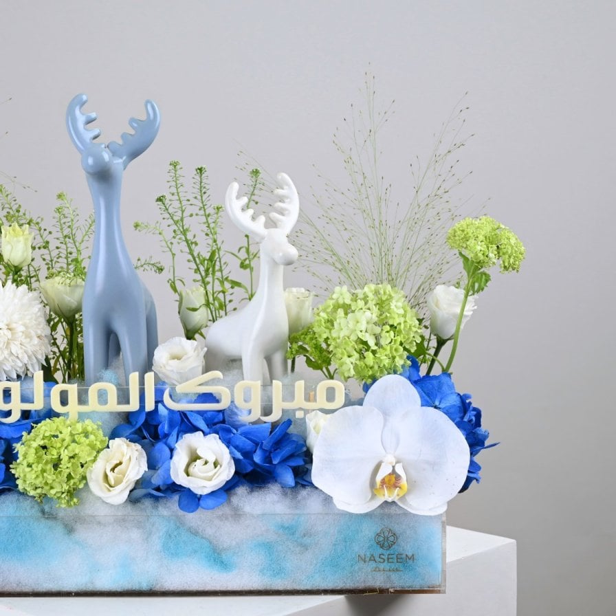 بيلورا بيبي بوي | هدية المولود