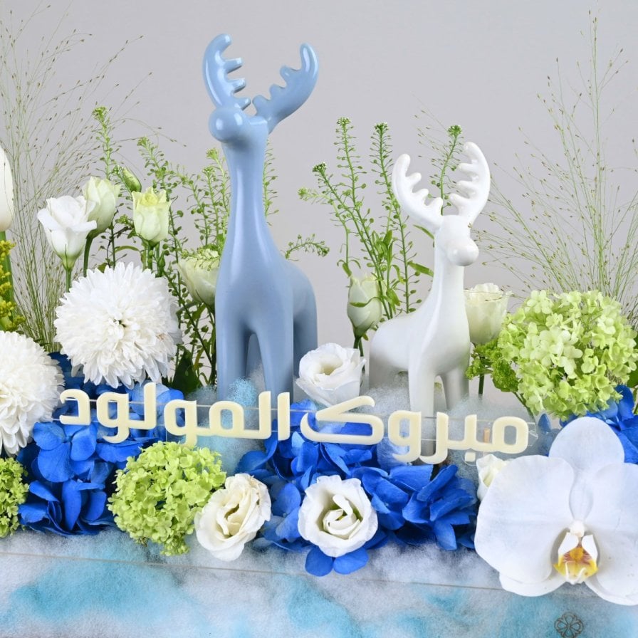 بيلورا بيبي بوي | هدية المولود